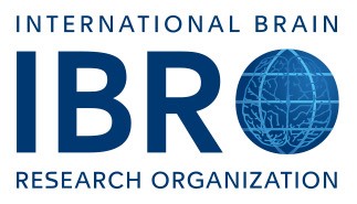 International Brain Research Organization